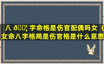 八 🐦 字命格是伤官配偶吗女（女命八字格局是伤官格是什么意思）